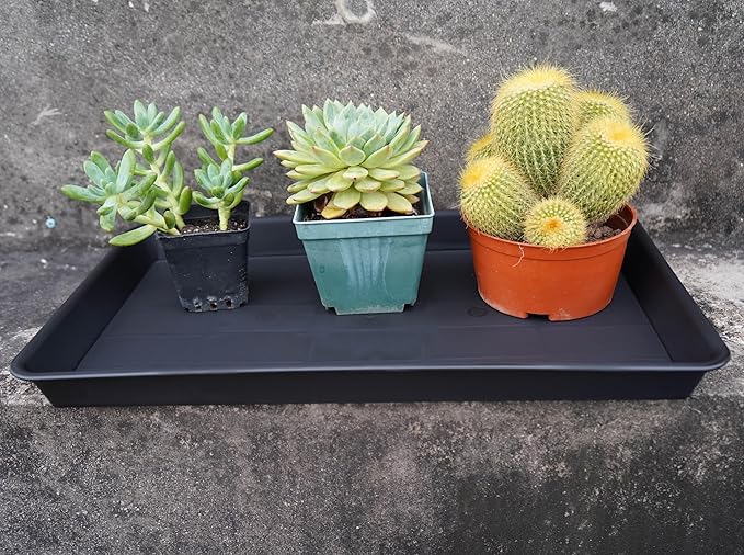 VUWEZ Plant Growing Trays 2 Pack, Plant Tray, 14.5"x11", Heavy Sturdy Plastic Plants Saucer, Seedling Starter Trays, Seed Starter Growing Tray (Black)
