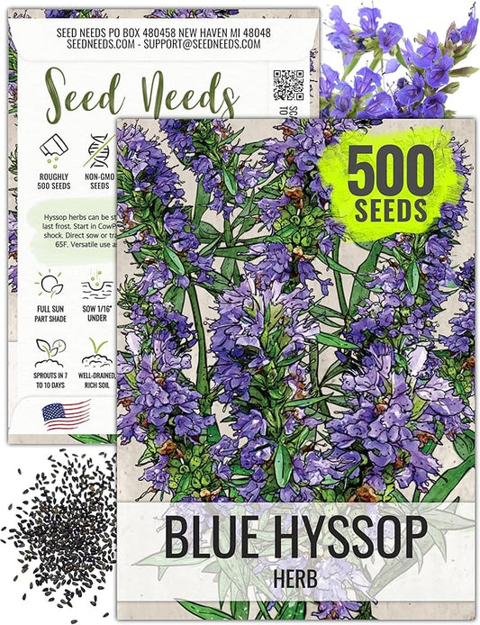Seed Needs Hyssop Seeds for Planting Blue Hyssop Herbs - Non-GMO Heirloom & Untreated Hyssopus officinalis Seed to Plant an Indoor/Outdoor Medicinal Herb Garden (1 Pack)