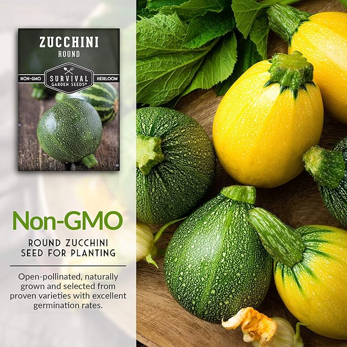 Survival Garden Seeds - Round Zucchini Seed for Planting - 3 Packs with Instructions to Plant & Grow Small Green Zucchinis in Your Home Vegetable Garden - Non-GMO Heirloom Variety - Seed Vault