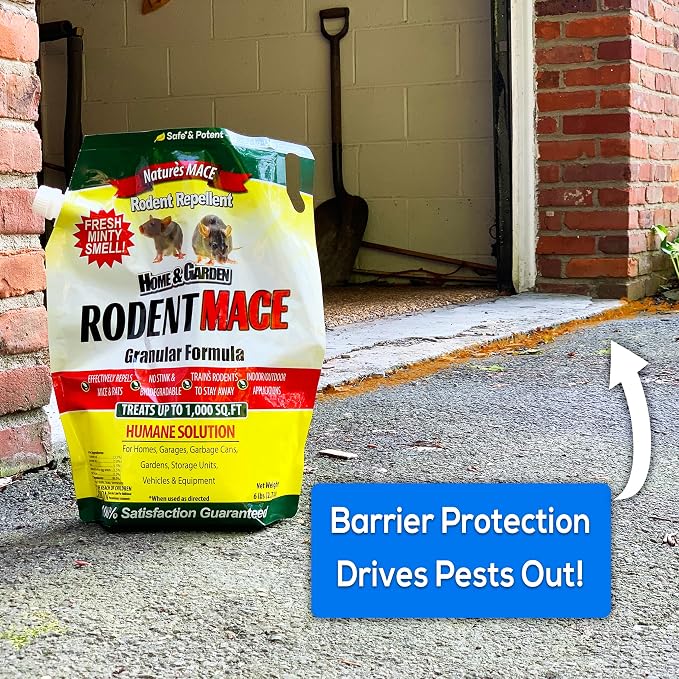 Nature's MACE Rodent Mace Repellent 2.5 lb Granules | Covers 440 Sq. Ft., Repel Mice & Rats, Keep Out of Home, Garage, Attic, and Crawl Space, Stop Damage, Safe Around Kids.