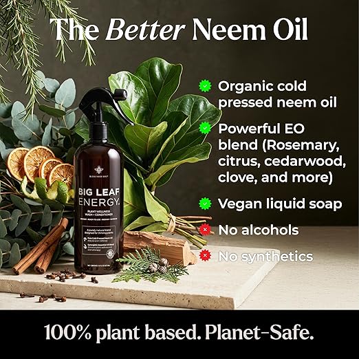 Neem Oil Spray for Plants – Big Leaf Energy, with Essential Oils – Ready-to-Use Plant Spray for Outdoor & Indoor Plants, Made in USA (16 fl oz)