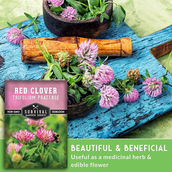 Red Clover Seeds for Planting – Nitrogen-Fixing Cover Crop & Ground Cover for Soil Building and Pollinators – Heirloom Non-GMO Medicinal Herb – Survival Garden Seeds (1 Pack)