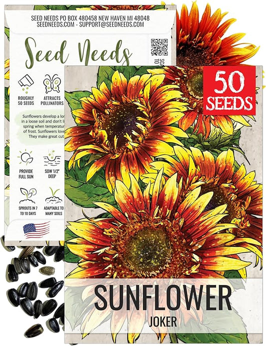 Seed Needs Joker Sunflower Seeds for Planting Sunflowers - Hybrid Flower Seed to Plant an Outdoor Home Grown Butterfly Garden (1 Pack)