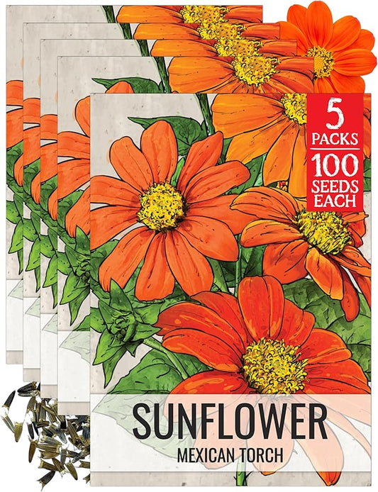 Seed Needs Mexican Sunflower Seeds for Planting Tithonia rotundifolia Flowers - Heirloom & Open Pollinated Annual Flower Seed to Plant an Outdoor Butterfly Garden (5 Packs)