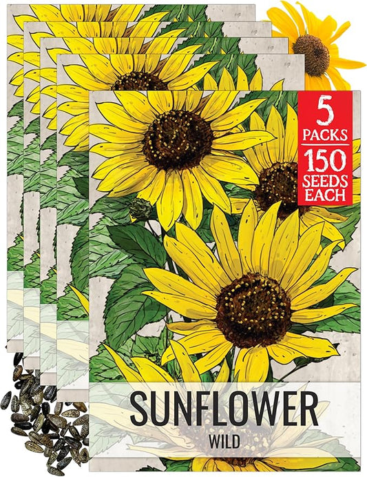 Seed Needs Sunflower Seeds for Planting Wild Sunflowers - Heirloom & Open Pollinated Flower Seed to Plant an Outdoor Wildflower Butterfly Garden (5 Packs)