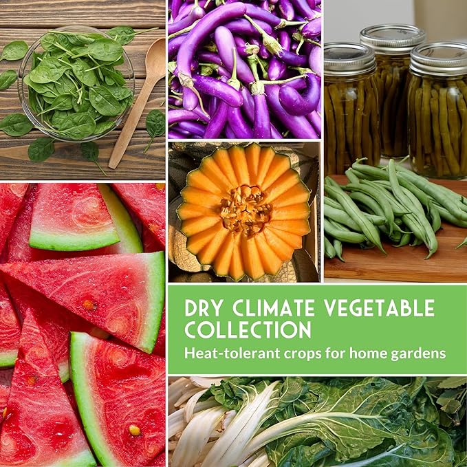 Heat & Drought Tolerant Vegetable Seeds Collection - 10 Variety Pack for Hot Climates & Dry Conditions - Heirloom Non-GMO Varieties for Southern, Texas & Zone 7-10 Gardens - Survival Garden Seeds