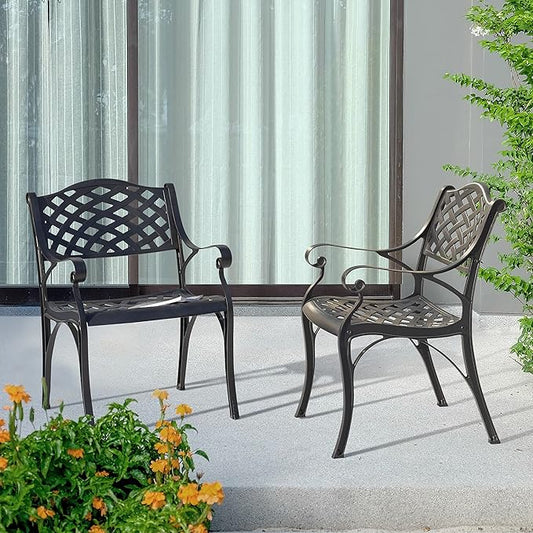 NUU GARDEN Patio Dining Chairs Set of 2, Aluminum Outdoor Indoor Patio Chairs with Arms for Garden, Backyard, Porch, Black