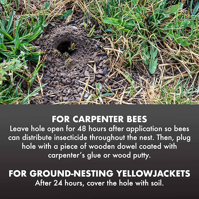 Spectracide Carpenter Bee And Ground-Nesting Yellowjacket Killer Foaming Aerosol 16 Ounces, Expands To Where Insects Live
