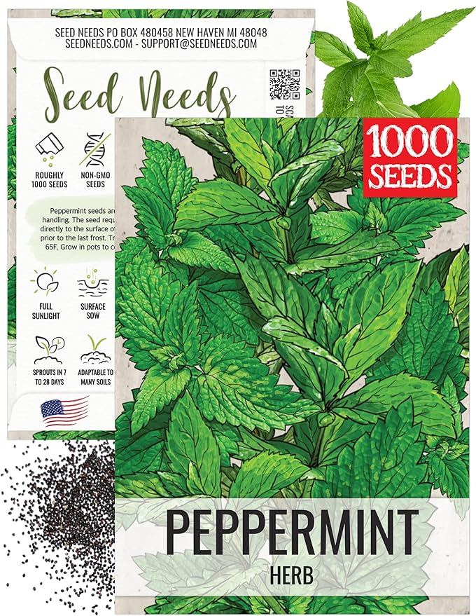 Seed Needs Peppermint Seeds for Planting - Non-GMO Heirloom & Untreated - Medicinal/Culinary Herb to Plant a Home Grown Indoor or Outdoor Garden (1 Pack)
