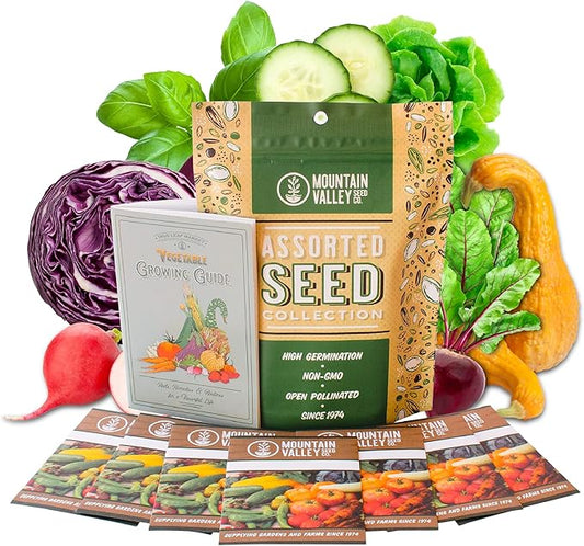 Summer Garden Heirloom Vegetable Seeds - ~5,000+ Total Seeds, 7 Varieties of Seed to Sow in Summer Months - Beet, Lettuce, Radish, Basil, Cabbage, Cucumber, & Squash Heirloom Seed for Planting