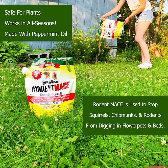 Nature's MACE Rodent Mace Repellent 2.5 lb Granules | Covers 440 Sq. Ft., Repel Mice & Rats, Keep Out of Home, Garage, Attic, and Crawl Space, Stop Damage, Safe Around Kids.