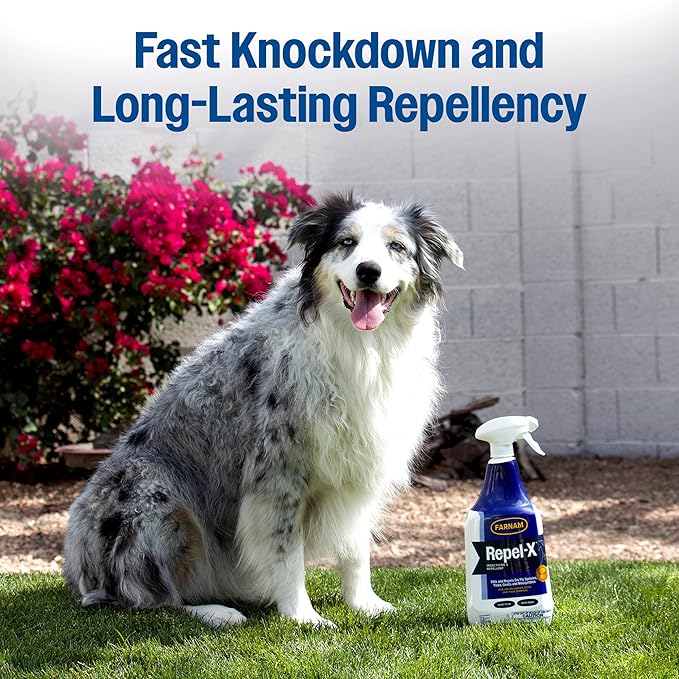 Farnam Repel-X Insecticide & Repellent Water-based Fly Spray for Horses, Dogs and Premises, 32 Ounces