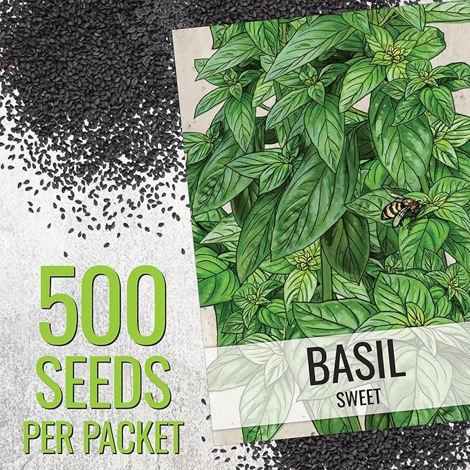 Seed Needs Genovese Basil/Lemon Basil Seeds for Planting Fresh Kitchen Herbs - Non-GMO Heirloom & Untreated Annual Herb Seed to Plant a Culinary Garden Indoors or Outdoors (2 Pack Duo)