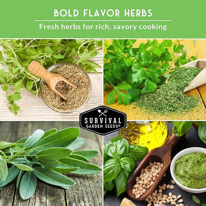 Survival Garden Seeds - Italian Herb Collection Seed Vault - Basil, Oregano, Thyme, Sage, Flat Leaf Parsley - Non-GMO Heirloom Varieties of Culinary & Medicinal Herbs for Any Garden or Homestead