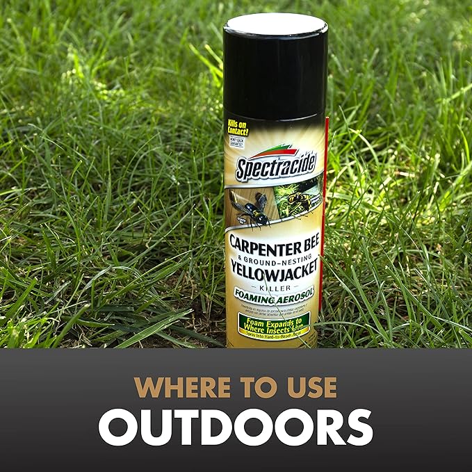 Spectracide Carpenter Bee And Ground-Nesting Yellowjacket Killer Foaming Aerosol 16 Ounces, Expands To Where Insects Live, 12 Pack