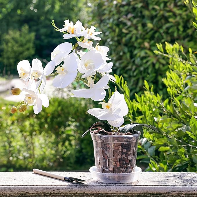 TRUEDAYS Orchid Pot with Saucers – 6 Pack 5 Inch Clear Orchid Pots with Drainage Holes for Repotting – Ideal for Healthy Root Growth – Sturdy Plastic Plant Pot for Indoor & Outdoor Plants