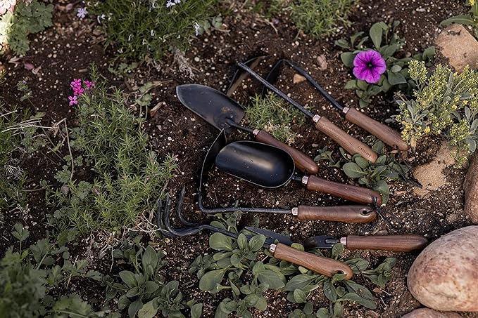 Barebones Garden Scoop - Garden Spoon - Stainless Steel Small Hand Shovel for Transplanting, Digging, and Planting - Great Home Gardening Hand Tools (Walnut/Black)