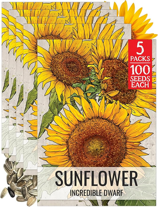 Seed Needs Dwarf Sunflower Seeds for Planting Incredible Sunflowers - Heirloom & Open Pollinated Flowers to Plant an Outdoor Wildflower Garden to Attract Beneficial Pollinators (5 Packs)