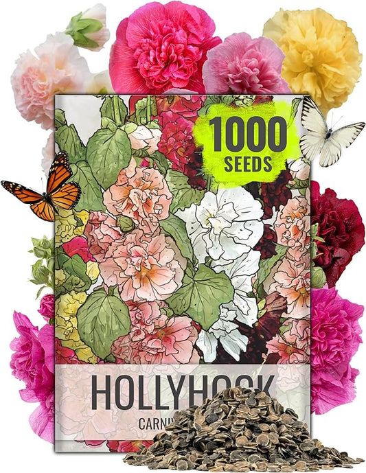 Seed Needs Hollyhock Seeds Mixed Carnival | 1,000+ Heirloom Flower Seeds Alcea rosea | Biennial Wildflower Blend that Attracts Pollinators to The Garden | Bulk