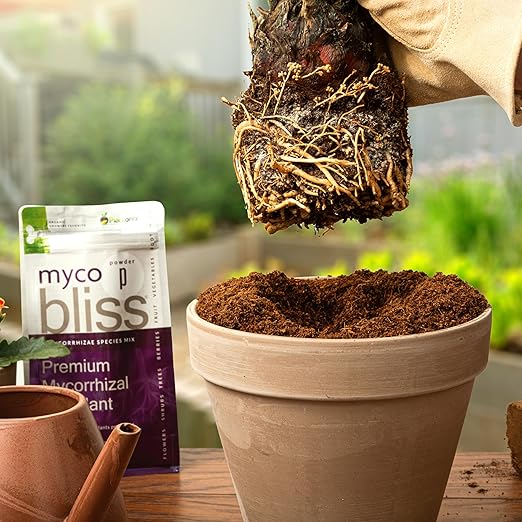 Worm Bliss (1 Qt) + Myco Bliss Granular (200 g) - Mycorrhizal Fungi Inoculant & Worm Castings for Plants - Mycorrhizae for Plants - Earthworm Castings Organic Fertilizer - Mycorrhizal Inoculant