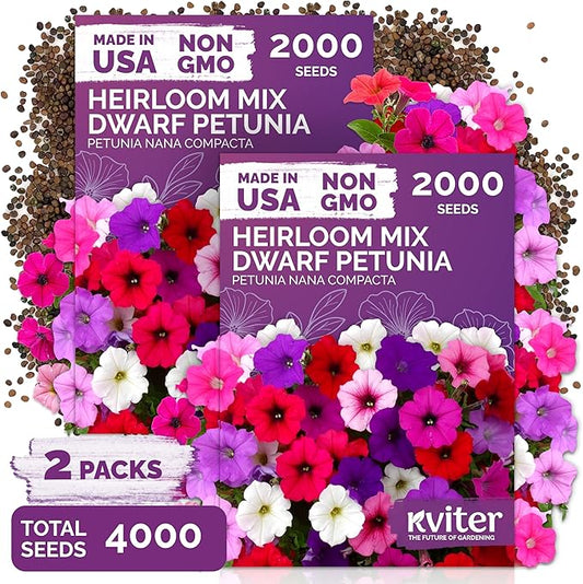 KVITER 4,000 Mix Dwarf Petunia Seeds for Planting Flowers (Nana Compacta) — Mini Petunia Flower Seeds, Annual, Organic & Non GMO — Beds, Hanging Baskets, Containers, Outdoor & Indoor Garden