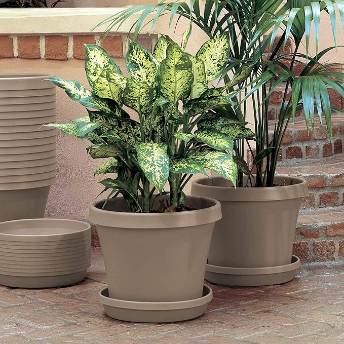 Bloem TR0883 Terra Plastic Pot Planter 8" Pebble Stone, 8"