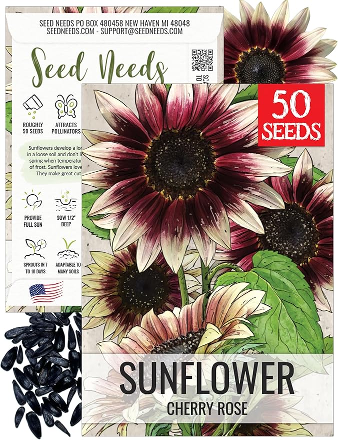 Seed Needs Cherry Rose Sunflower Seeds for Planting Bi-Color Sunflowers - Hybrid Flowers with Unique Blooms for an Outdoor Butterfly Flower Garden (1 Pack)