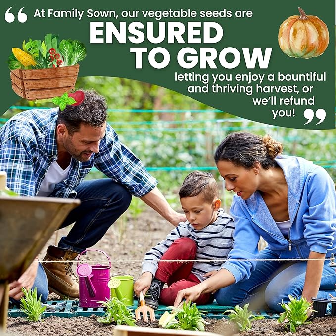 Herb Seeds | 10 Individual Packs | 2026 Season | Non-GMO | Mint, Parsley, Basil, Thyme & More! | for Planting Indoor & Outdoor | by Family Sown