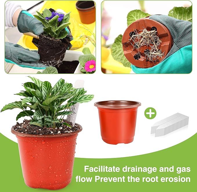 LWWTBS Plant Nursery Pot/Pots 100 Pcs 6" Plastic Small Plants Pots Flower Pots Seed Starting Pots for Plants Indoor Outdoor Seeding pots (with 100 Plant Labels)
