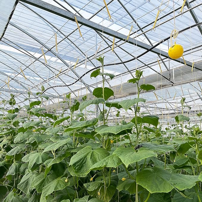 Bandelt 20pcs Tomato Support J Hooks, Tomato Climbing Hooks with 39ft Twine to Prevent Tomatoes from Pinching or Falling Off for Plant Vegetable Plant Fruit Flower
