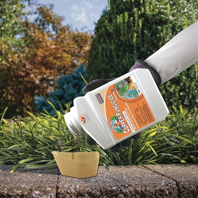 Bonide Captain Jack Copper Fungicide 16 oz Concentrated Plant Disease Control Solution for Organic Gardening,(Pack of 6)