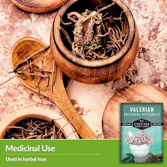 Survival Garden Seeds - Valerian Seeds for Planting - 5 Packets with Instructions to Plant and Grow Medicinal Herb Valeriana Officinalis in Your Home Herb Garden - Non-GMO Heirloom