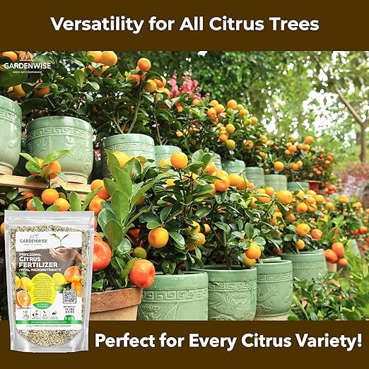 GARDENWISE Professional Citrus Fertilizer + Vital Micronutrients; Perfect Balanced NPK for All Citrus; for Indoor and Outdoor Plants; Orange, Lime, Avocado and Lemon Tree Fertilizer (10 QUARTS)