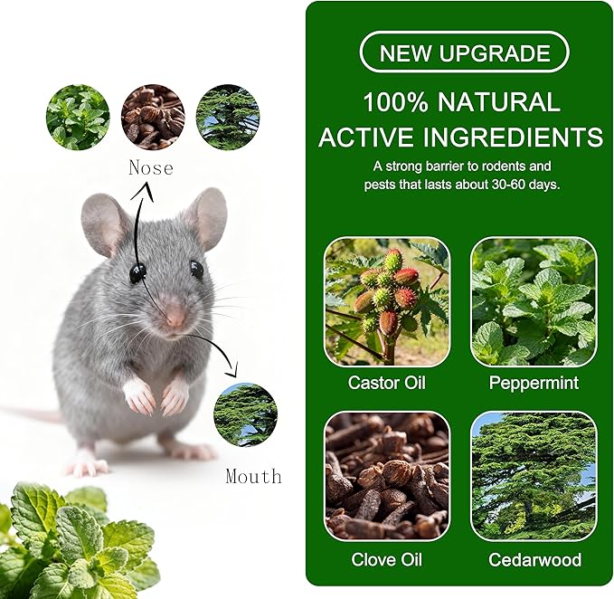 24 Pack Natural Mice Repellent Balls for Home - Peppermint Oil, Family & Pet Safe Rodent Deterrent for Indoor Outdoor Use, Garage, Garden, Caravan - Long Lasting Insect Repellen
