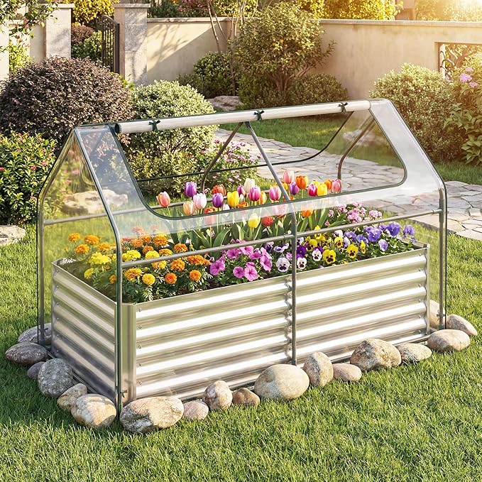 S AFSTAR 3-in-1 Raised Garden Bed with Greenhouse Cover, 6FT x 3FT x 4FT Galvanized Bottomless Planter Box Kit with Dual Roll-Up Screen Windows, Outdoor Mini Greenhouse for Vegetables (Silver & Clear)