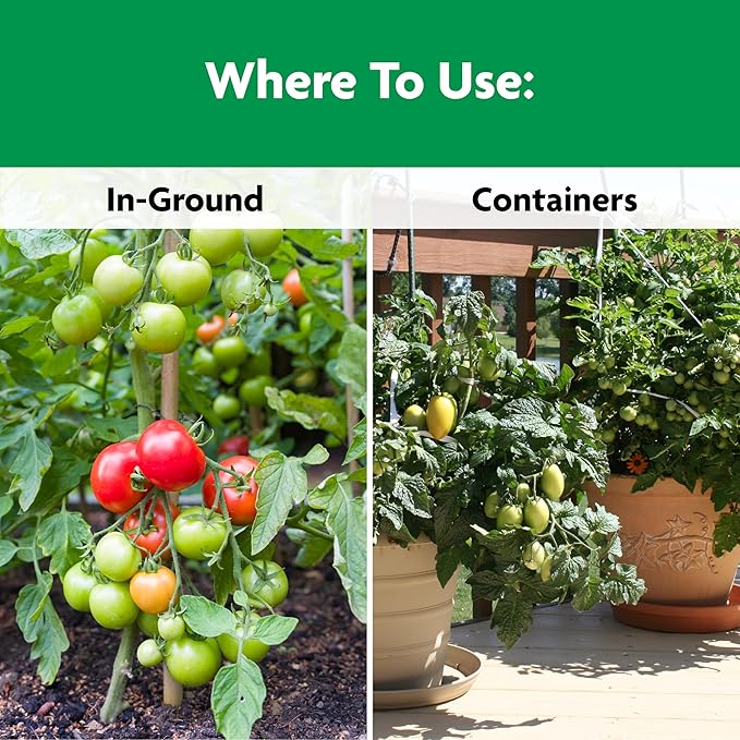 Miracle-Gro Shake 'N Feed Tomato, Fruit and Vegetable Plant Food - Fertilizer for Vegetable Gardens, for In-Ground and Container Plants, Feeds up to 3 Months, 1 lb.