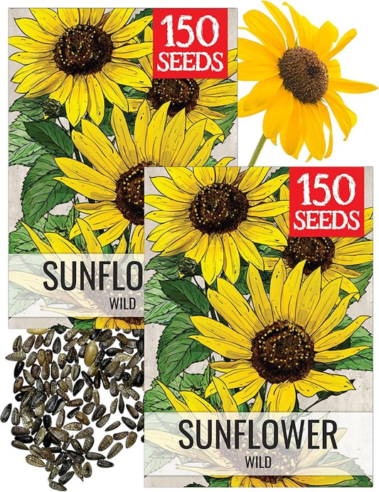 Seed Needs Sunflower Seeds for Planting Wild Sunflowers - Heirloom & Open Pollinated Flower Seed to Plant an Outdoor Wildflower Butterfly Garden (2 Packs)