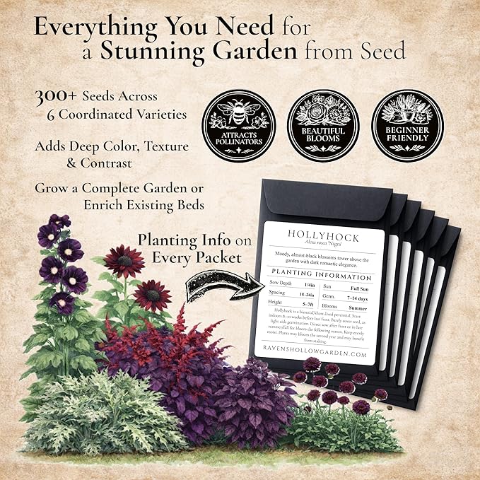 Gothic Garden Seed Collection, 6 Open-Pollinated Flower & Foliage Varieties