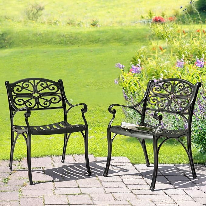 NUU GARDEN Patio Dining Chairs Set of 2, Cast Aluminum Outdoor Chairs with Armrests, Bistro Patio Chairs for Garden Lawn Porch Backyard Poolside, Black with Gold Painted Edges