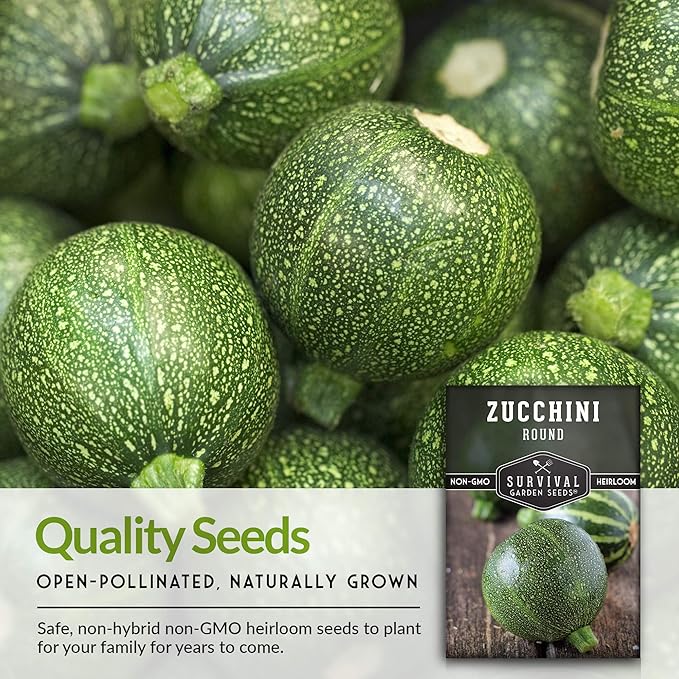 Survival Garden Seeds - Round Zucchini Seed for Planting - 3 Packs with Instructions to Plant & Grow Small Green Zucchinis in Your Home Vegetable Garden - Non-GMO Heirloom Variety - Seed Vault