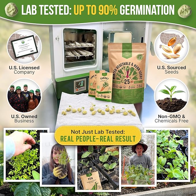 Organo Republic 25 Winter Vegetable & Herb Garden Seeds Variety Pack for Outdoors & Indoor Home Gardening 22,840+ Non-GMO Heirloom Seeds Broccoli Beet Carrot Cabbage Radish Pea Mint Thyme Parsley