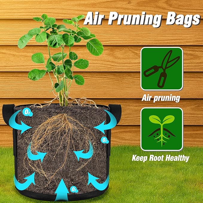 PHYEX 12-Pack 3 Gallon Grow Bags, Heavy Duty Fabric Pots with Handles, Reusable Plant Bags for Vegetable, Herbs & Flowers, BPA-Free, Breathable, Durable