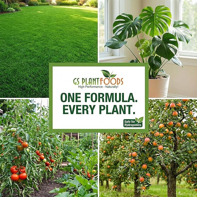 GS Plant Foods Humic Acid Soil Amendment – Leonardite-Derived Liquid Concentrate for Improved Soil Structure & Nutrient Availability – OMRI Listed for Organic Use – 1 Gallon