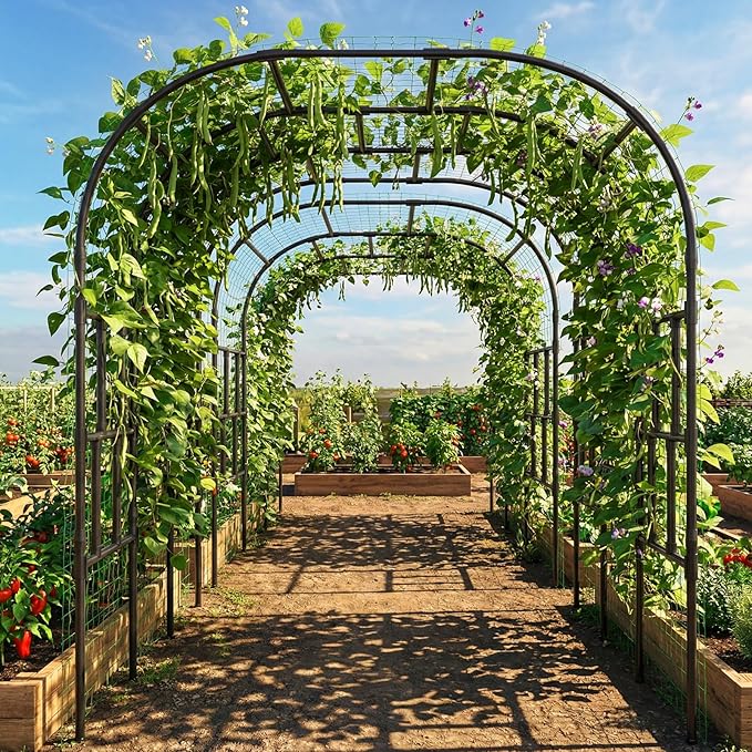 Tall Garden Arch Trellis for Climbing Plants, 87in Tall Metal Plant Support Trellis Archway for Climbing Plant Vegetables Cucumber, Outdoor Yard Lawn Garden Arch Tunnel Trellis