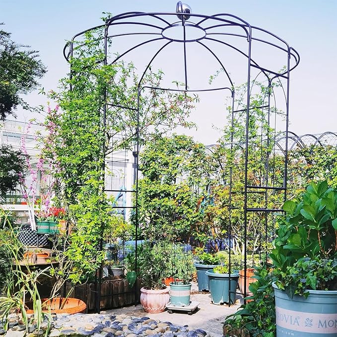 Giantex Birdcage Shape Gazebo - 9.3' H x 6.5' W Metal Arch Trellis for Climbing Plants Clematis Vines, French Style Pergola Pavilion Garden Arbor for Weddings Photoshoots Ceremony Party Outdoor Decor