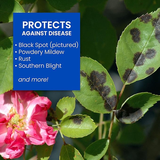 BioAdvanced All-In-One Rose and Flower Care Fertilizer, Concentrate, 64 oz, Rose Fertilizer and Disease Control