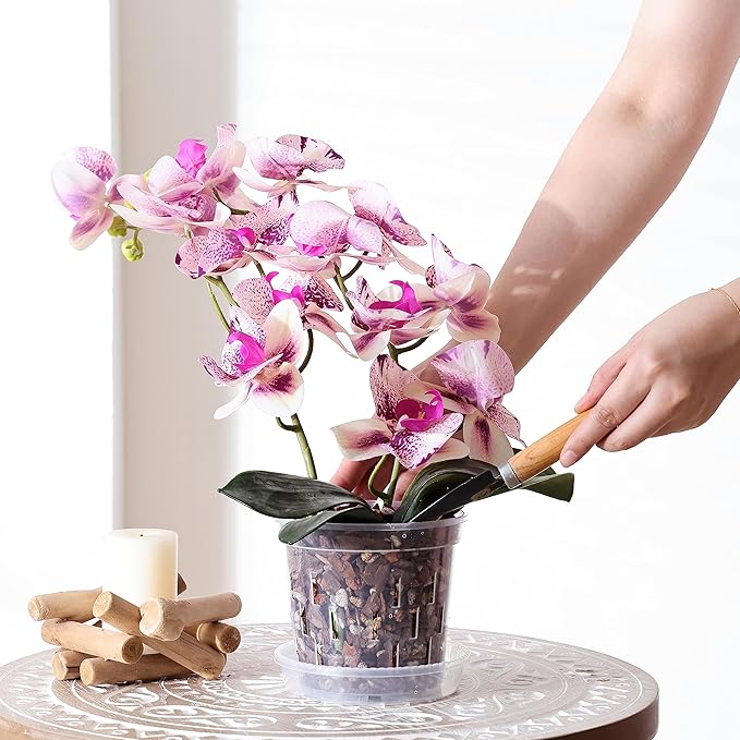 TRUEDAYS Orchid Pot with Saucers – 6 Pack 5 Inch Clear Orchid Pots with Drainage Holes for Repotting – Ideal for Healthy Root Growth – Sturdy Plastic Plant Pot for Indoor & Outdoor Plants