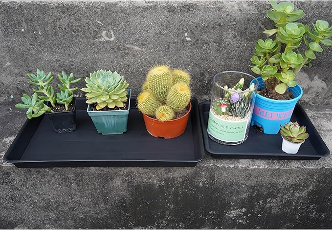 VUWEZ 2 Pack Plant Saucer Tray Rectangular, Plant Growing Nursery Trays, Heavy Sturdy Seed Starting Trays, Plants Starter Saucers for Indoors No Holes, Seed Starter Growing Tray (17.5"x10.6", Black)