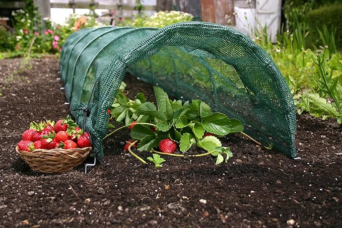 Tierra Garden 50-5020 Haxnicks Easy Shade Net Tunnel Garden Cloche, Giant