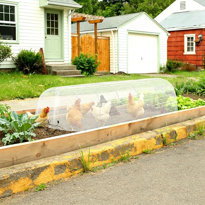 Greenhouse Tunnel, Chicken Tunnels for Outside, 2 in 1 Green Houses for Garden Cloche Cover, Winter Outdoor Green House Kits